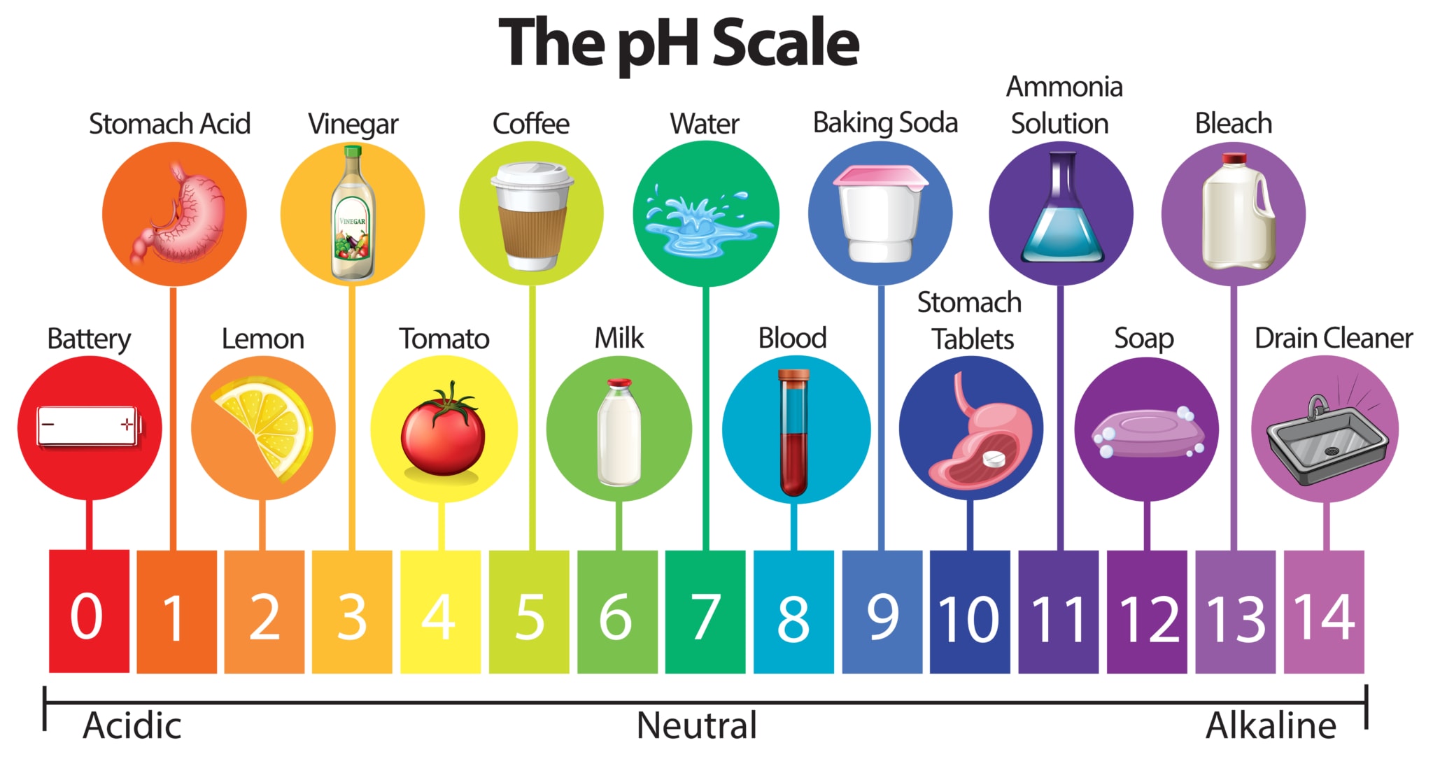 Coffee Acidity Everything You Need to Know Siam Hills Coffee