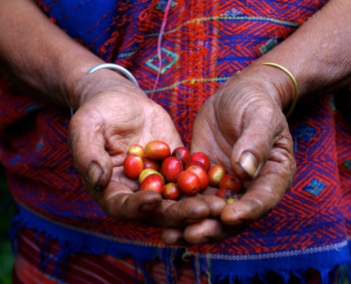 Fair Trade Coffee – What Does it Really Mean -1