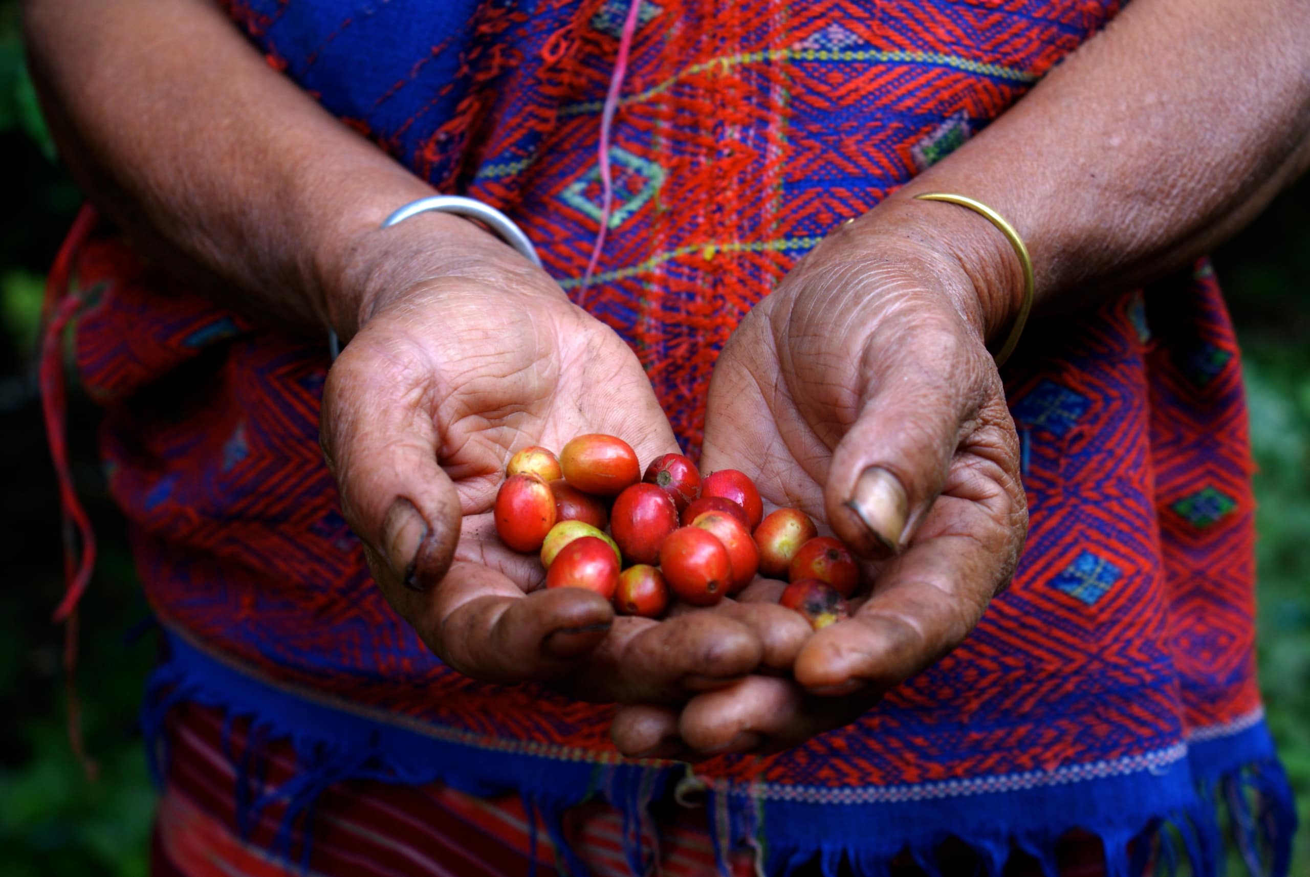 fair-trade-coffee-what-does-it-really-mean-siam-hills-coffee