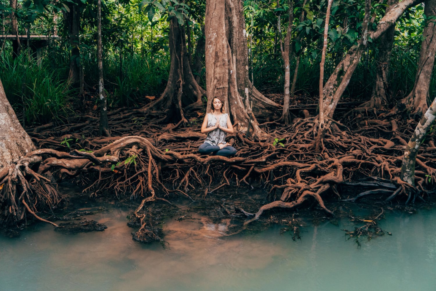 Медитация дерево