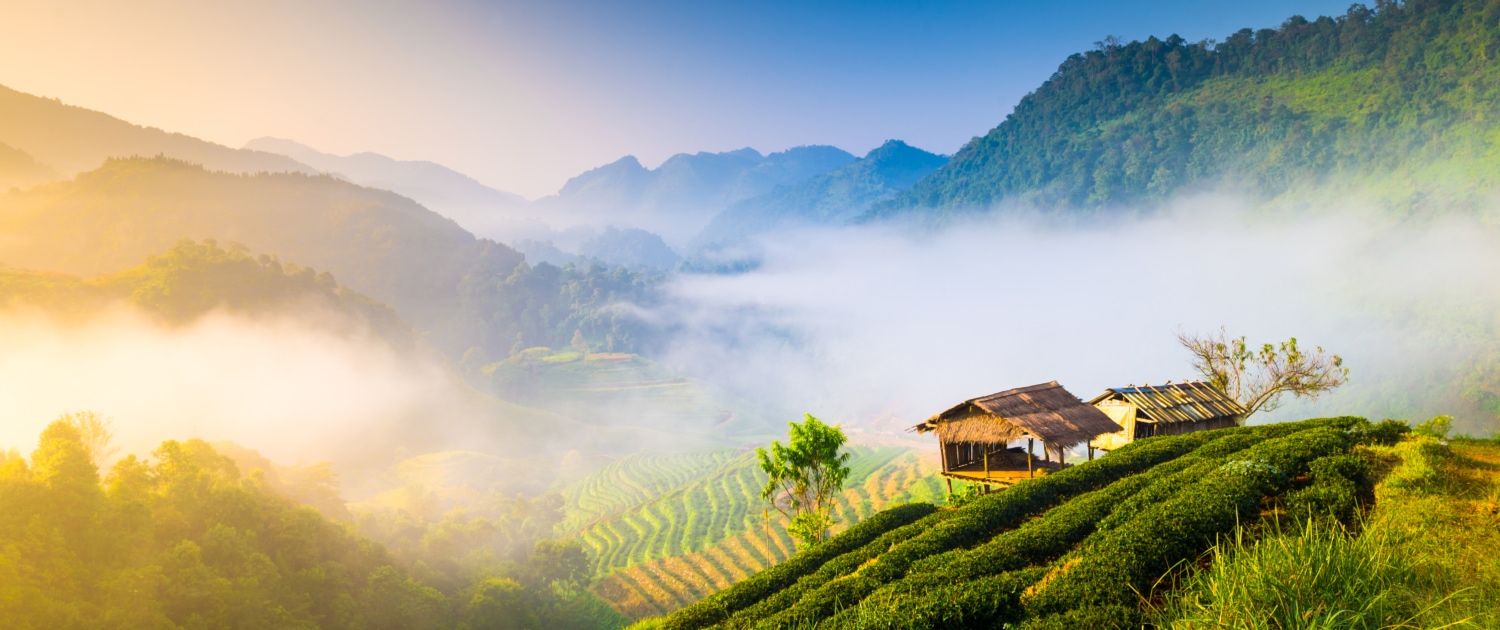 Beautiful_Northern_Thailand_Panorama_Home_Of_Coffee_Siam_Hills_Coffee_Thailand_Coffee