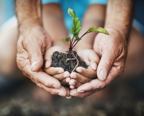 Father_And_Son_Hands_Hold_Earth_Together_Sustainability_Siam_Hills_Coffee_Coffee_Thailand