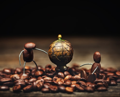 Top 10 Strangest Coffee Types & Beans - Special Coffee Experiences – 1